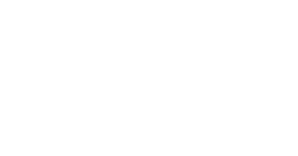 The Knecht Chiropractic Clinic website white logo